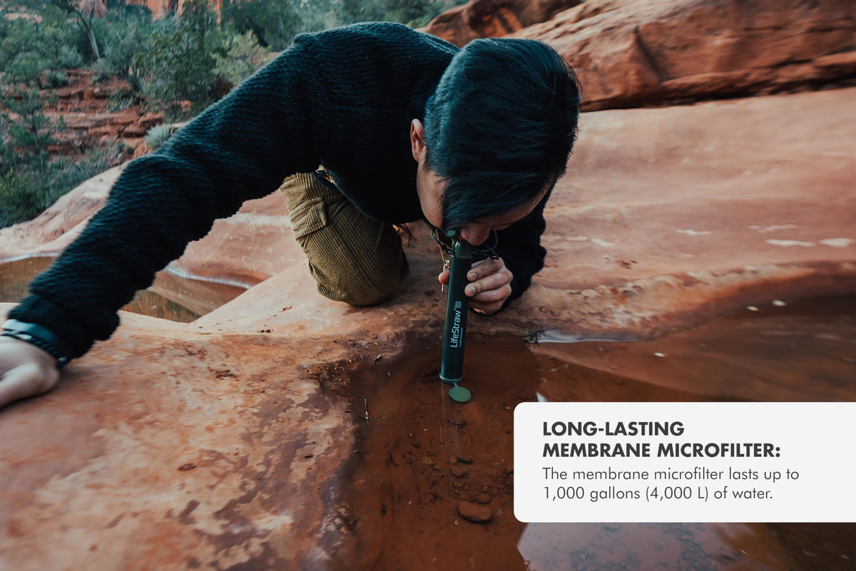 LifeStraw Personal Water Filter